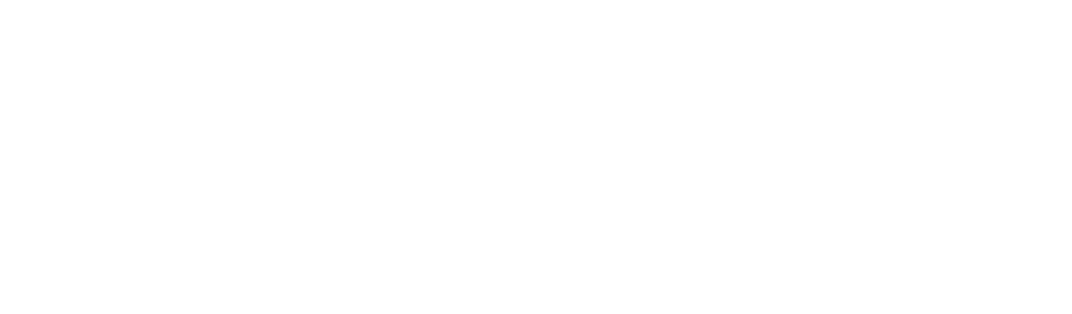 Logo Pegasus Couriers. Rekrutacja kierowców dostawczych
