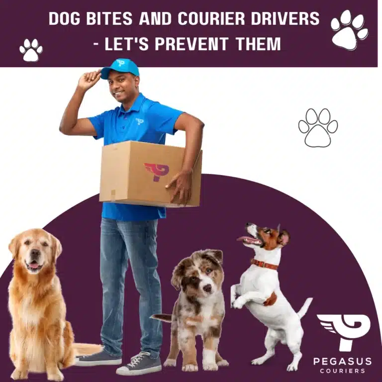 Courier driver bitten by dogs is a serious issue. Pegasus Couriers explains how to prevent this