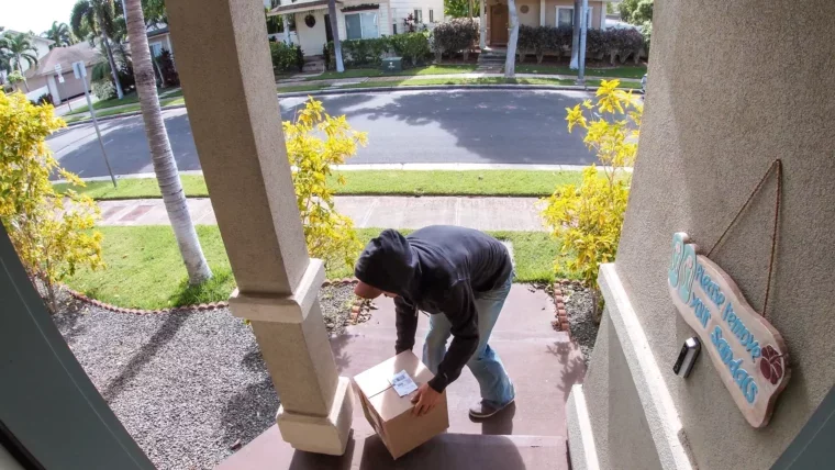 Thief steals parcel Porch Pirate UK. With the rise of online shopping and home deliveries, finding a safe spot for your parcels has become more critical than ever.